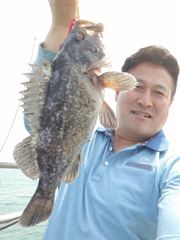 노을바다 4월223일 조황사진