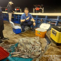 8월8일 입항 한치 계속 호조황!!!