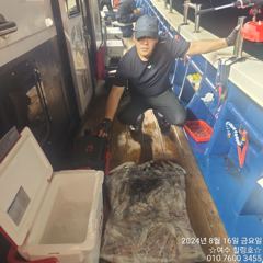 8월16일 입항 한치조황