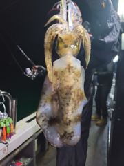 《통영에메랄드호》흔들리는 너울속에서 팁런조황