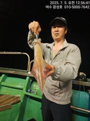 <여수광성호> 오늘도 야무진 한치조황!!