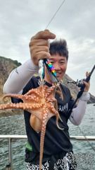 메가호8월3일문어소식