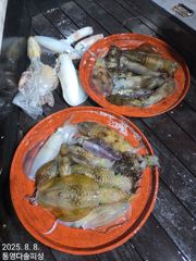 7일[팁런]시즌 4번째 백바리~