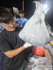 22일 제주 애월권  한치낚시 체험