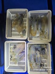 오늘의 무늬