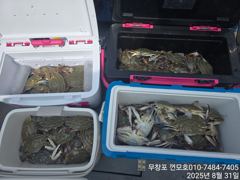 8월31일 7분 모시고 꽃게 다녀왔습니다.