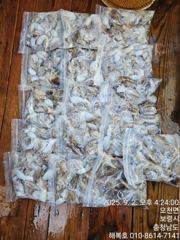 오늘두 꾸준히나와주네요250수에서418수했네요 고생들하셨어요