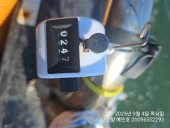 2025년 9월 4일 쭈갑조황
