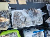 쭈갑조황 글만 보기