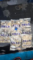 9월14일 오천프린스호 쭈갑조황