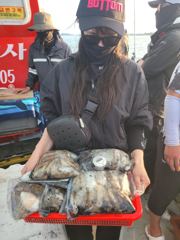 9월20일 139 갑오징어조항