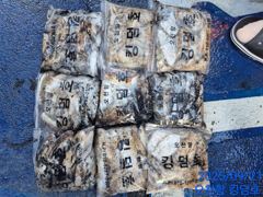09월21 갑오징어 조황 입니다