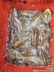 25일조항입니다