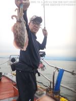 쭈갑조황 글만 보기