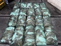 10월14일 연안부두 (샤크피싱 - 스모키호.마루호) 갑오징어 조황~굿굿굿!!!!!
