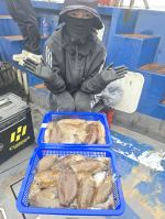 고대도항 해놈호 갑오징어 조황 사진