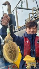 메가호0월19일갑오징어조황