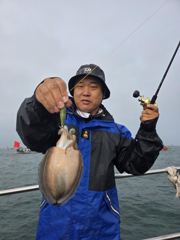 쭈꾸미 갑오징어 조황입니다
