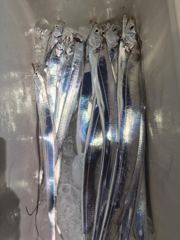 오랜지2호