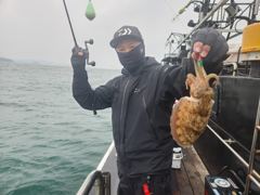 10월26일 갑오징어 조황입니다.
