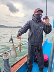 쌍 갑오장어 신발짝 만한 싸이즈
