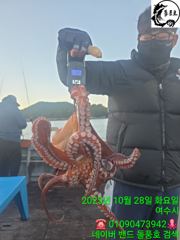 문어마릿수 이벤트 진행합니다