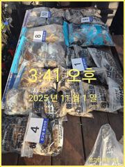 11/1 당진 장고항해안선호 조황사진