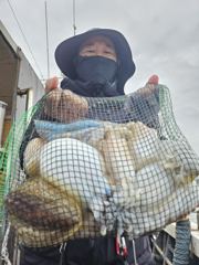 11월8일 황제호 씨알좋은 왕갑오징어 조황 입니다.