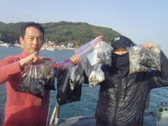 11월9일쭈갑조황