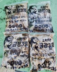 [쭈꾸미/갑오징어] 11/14_ 금강3호 조황:-)