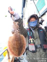 타조알 갑오징어 새벽부터 나오고 있어요~실시간~11/19~11/21일까지 (3일간 연장) 갑오징어 특별한 상..