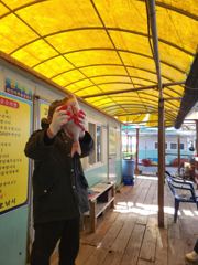 11.21 성호좌대 조황소식