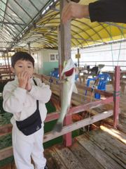 11.22 성호좌대 조황소식