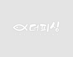 손님이 블로그 올려주셧어요.