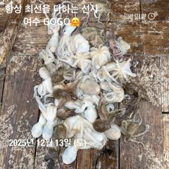 GoGo피싱 12월13일 즐거운 조황 업데이트!!!