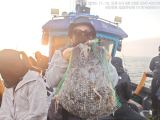 쭈갑조황 글만 보기