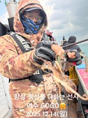 12월 14일 조황 업데이트!!!