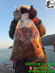 문어 장원 23마리...수요일부터 자리있습니다.