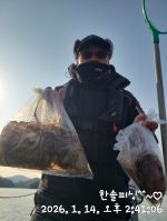 1월14일 쭈꾸미 조황
