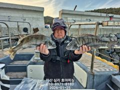 01.25일 카고 감성돔 ~
