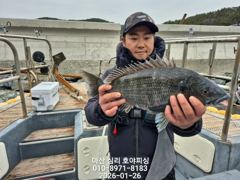 01.26일 카고 감성돔~