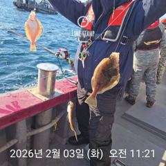 2월 3일 좋은 기상속에 어구가자미 잡으셨습니다.