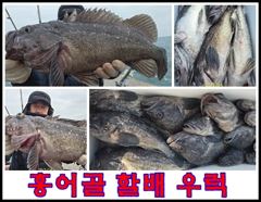 먼바다 할배 우럭_65cm 히트_바다의신 선상출조