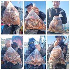 뉴금강호)3원14일 원도권 돌문어~~~