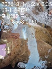 선상 참가자미. 도다리
