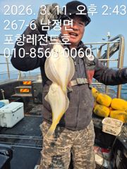 선상도다리