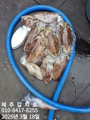 갑오징어도 "제주갈치호" 3월18일 조황 정보