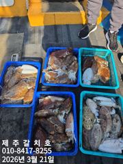 갑오징어도 "제주갈치호" 3월21일 조황 정보