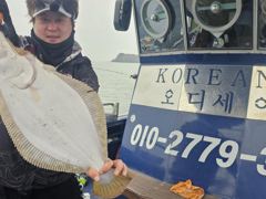 2026년3월22일 첫출조 광어.우럭 다운샷 조황 입니다
