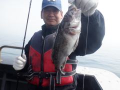 3/28 열세분 조황